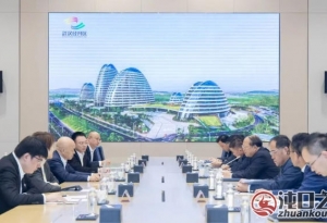 武汉经开区 |刘子清与中国电子云董事长陈士刚座谈交流