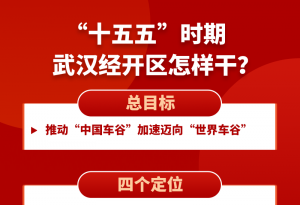 定了总目标!武汉经开区未来5年要这样干!