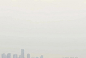 惊讶到了!沌口这个跨湖大桥正在施工!