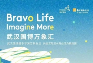 ������|ʯ�����人��������㺣�������ˣ�