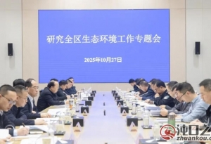 武汉经开区专题研究生态环境工作