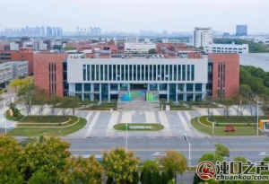 武汉经开区再添两家省级重点产业知识产权运营中心