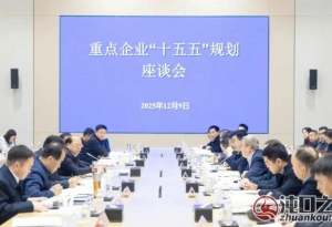 武汉经开区召开重点企业“十五五”规划座谈会