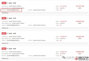 武汉经开国资兜底!郭徐岭四宗地块底价成交!