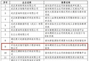 ȫ����С��ҵ�˹����ܵ���Ӧ�ó��� �人������+2