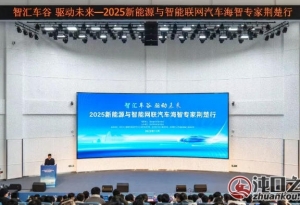 新能源与智能网联汽车海智专家荆楚行活动走进武汉经开区