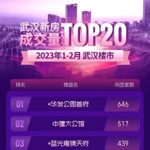 2023��1����2�£��人����������¥����ǩTOPǰ10��¯��