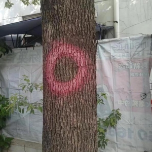 ̩ϰٻ԰ҵѯ6ڵ裡