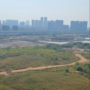 汉南协子河畔 C 与协子河畔 D 空地有何规划