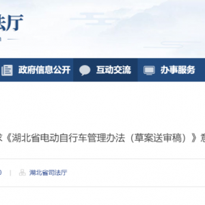 湖北拟出新规!汉南骑电动车的朋友注意了!