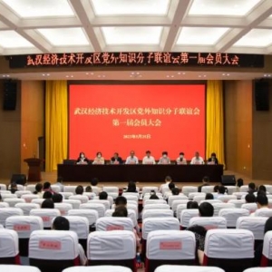 武汉经开区召开党外知识分子联谊会第一届会员大会