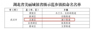 汉南湘口街道入围美丽城镇省级示范乡镇