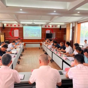 汉南区人大常委会调研马影河河湖管理重点问题及水污染防治工作