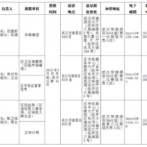 武汉经开区|巡察公告