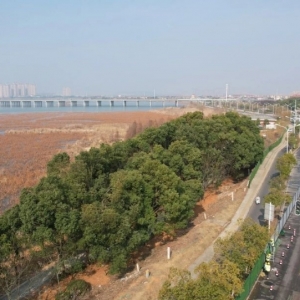 沌口碧湖路扩宽工程全面复工!