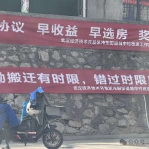 再见了,武汉经开区郭徐岭!