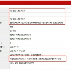 沌口新增一个国际人才公寓!这位置真没话说!