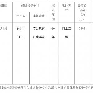 沌口|薛峰、黄金口多宗工业地块进行拍卖!