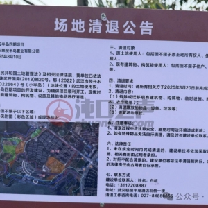 2025年沌口将新增五大新楼盘!