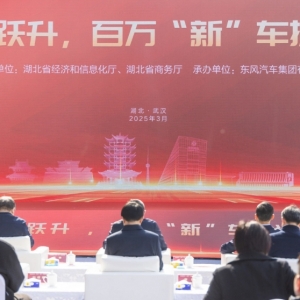 2025年湖北省新能源汽车“双百跃升”活动在武汉经开区举行