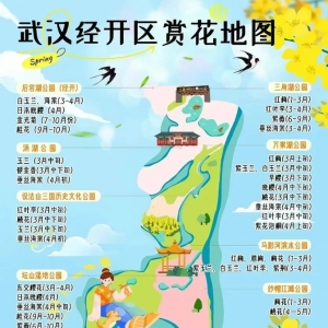武汉经开区的春天来啦