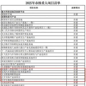 沌口多个项目入选武汉市2025年重大项目清单!
