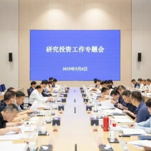 沌口|沌阳大道、神龙大道改扩建策划方案提升议程!