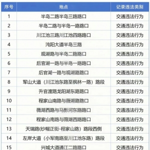 沌口新增一批电子眼监控设备!