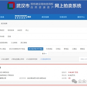 时隔10年!万科拿下沌口核心地块!