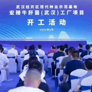 “牛肝菌自由”要来了!华中首个生产基地在武汉经开区开建