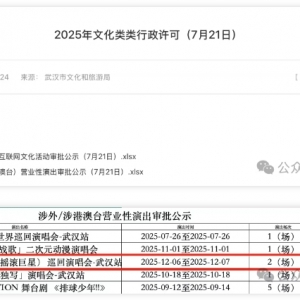摇滚巨星!沌口又一场演唱会获批!