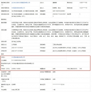 哇哦,沌口汤湖跨湖大桥即将噶事!