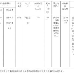 武汉经开区挂牌一宗工业用地!