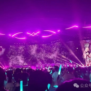 小刚要来了!沌口演唱会再+1!