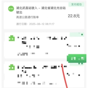 四环线降费!沌口(2座收费站)却不在名单.....