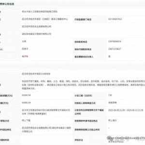 4.6亿!沌口这个商业楼宇即将开工!