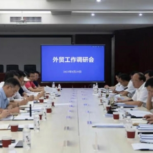 武汉经开区|刘子清唐超调研全区外贸工作