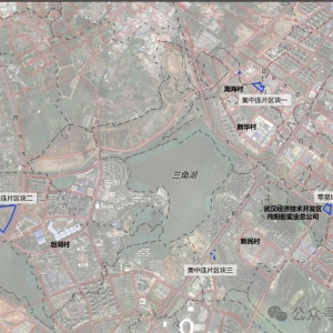 征集意见!蔡甸区土地(经开托管区)征收成片开发方案