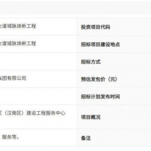 沌口|神龙大道、沌阳大道道路改造工程纳入招标