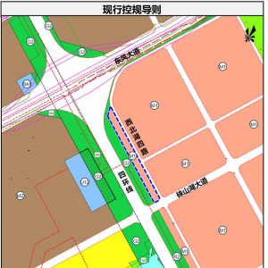 提升景观环境品质,沌口一地块调规!