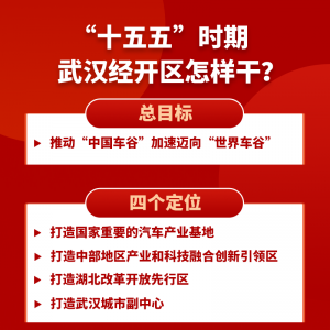 ������Ŀ�꣡�人������δ��5��Ҫ�����ɣ�