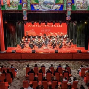 2026�������ֻ���� �´��������״����人����������