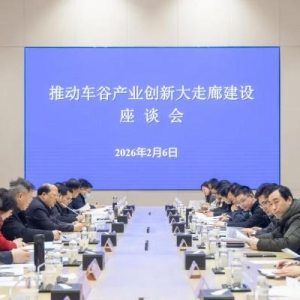 ���Ȳ�ҵ���´����Ƚ��跽����ȡ�����̸�����人����������