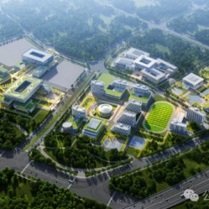 �人������|׳�ۣ��人�������ɽУ�����ڹ���