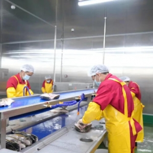 �´��߻����������������æ���人��������Ӧ����ҵ�������񴺽ڲ�������ʢ