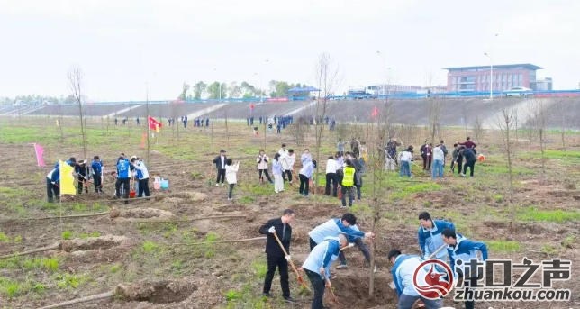 共赴春约共向未来 武汉经开区干部职工、高校师生、企业代表共植“友谊树”