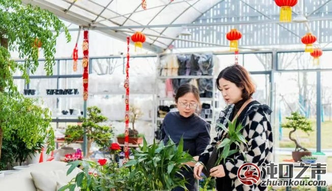 闲置地变身城市公园!武汉经开区官士墩智趣园接待游客超10万人次