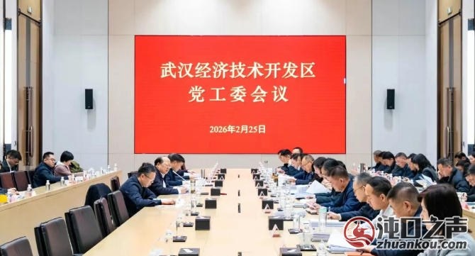 武汉经开区|党工委会议传达学习全省加快建成中部地区崛起的重要战略支点推进大会精神 ...