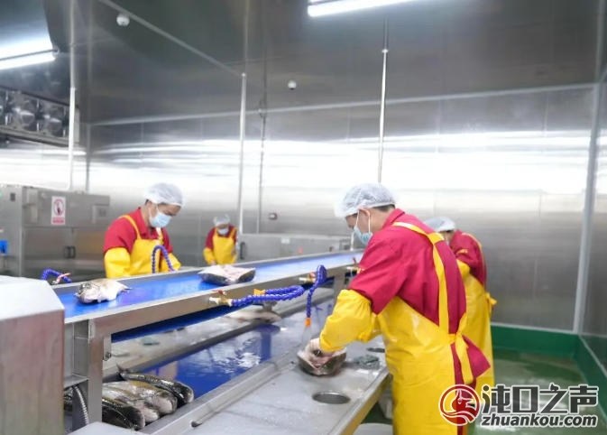 新春走基层|订单旺、配送忙!武汉经开区供应链企业保障市民春节餐桌更丰盛