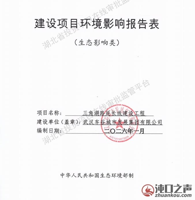意难平!沌口一跨湖大桥最新进度公布!